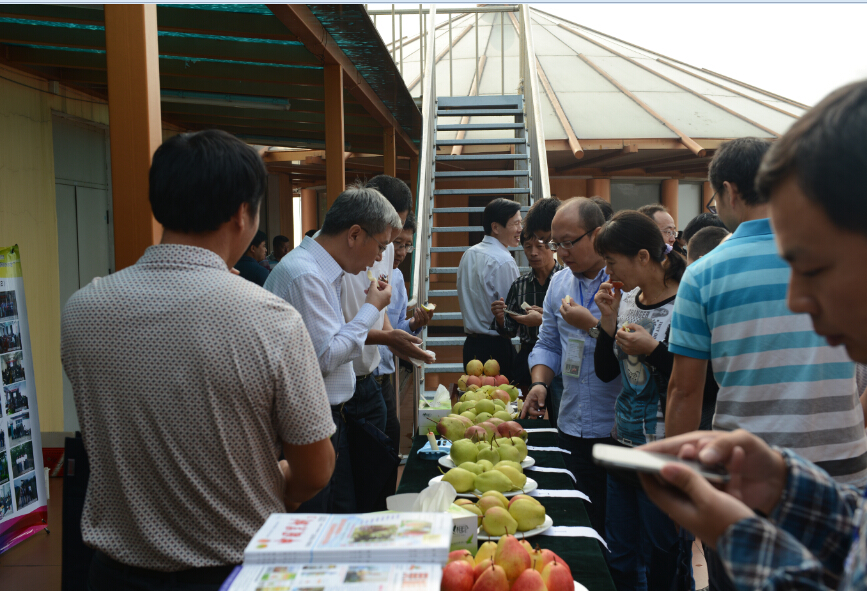 梨贮藏研讨会新闻照片三.jpg 梨贮藏研讨会新闻照片三.jpg