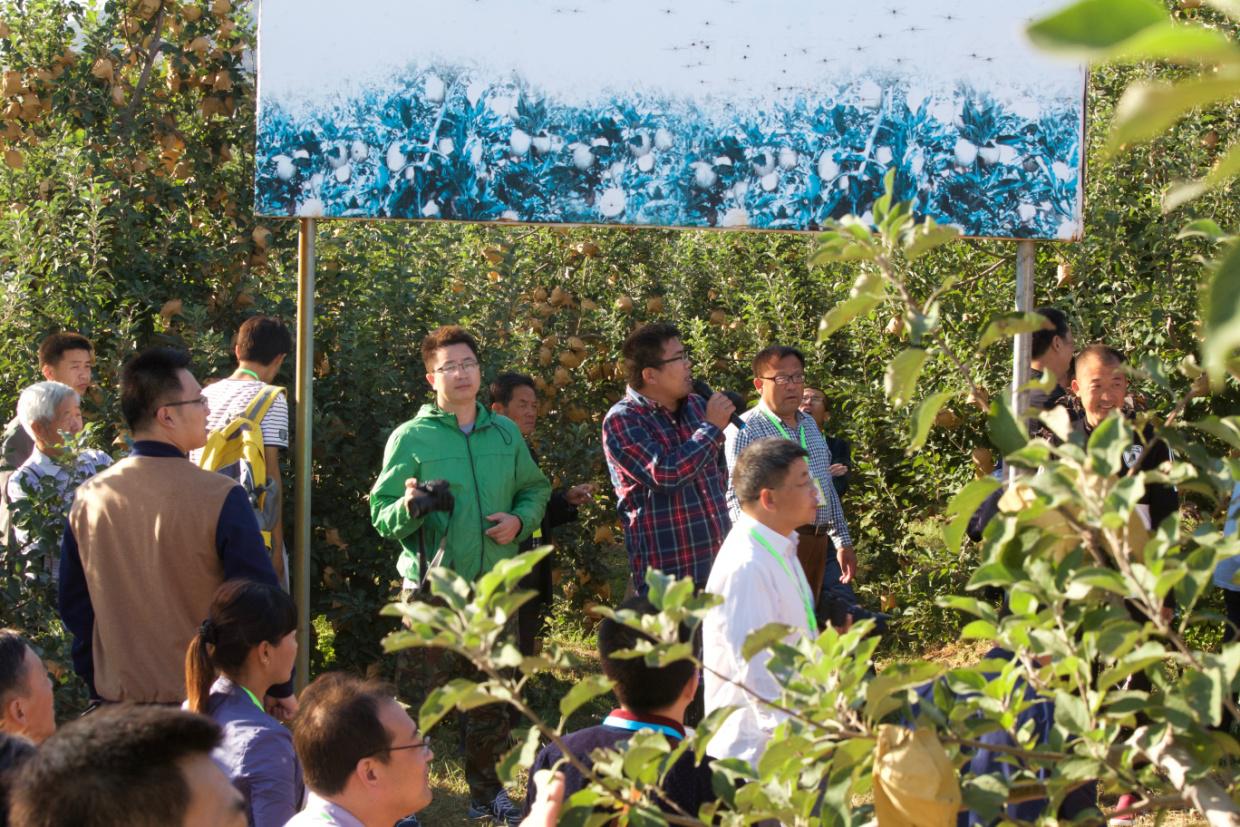 果树培训班照片二.jpg 果树培训班照片二.jpg