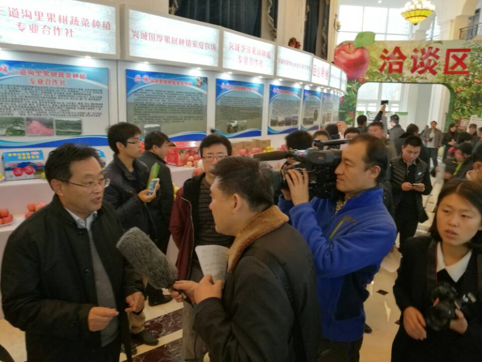 省优质果品评选照片三.jpg 省优质果品评选照片三.jpg