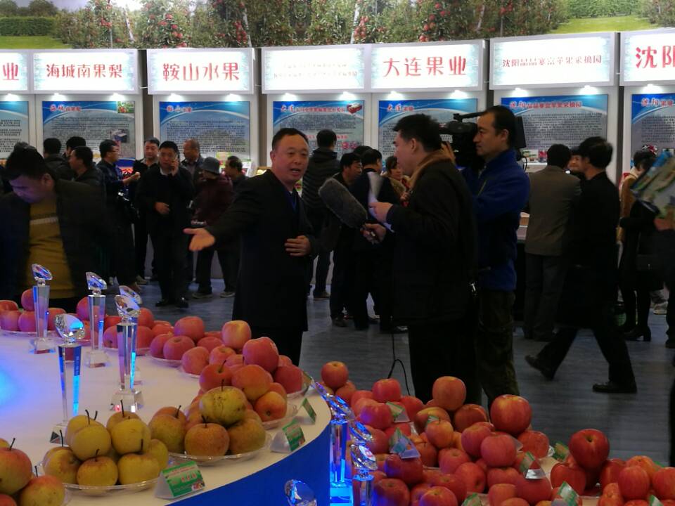 省优质果品评选照片一.jpg 省优质果品评选照片一.jpg