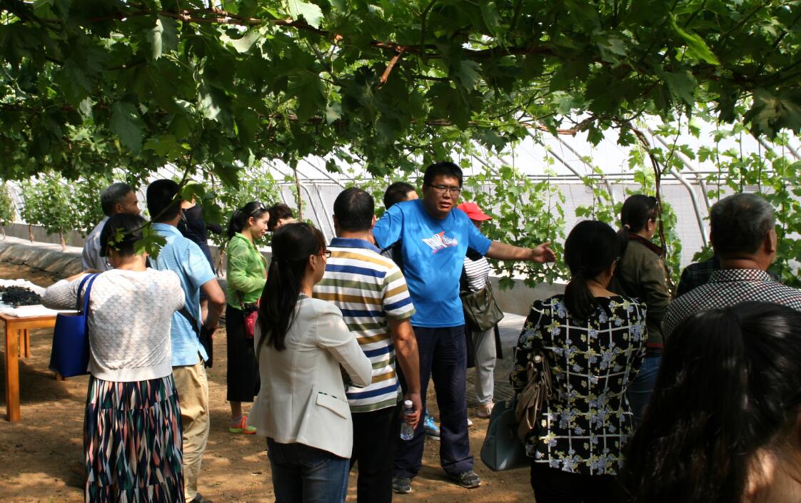 0616新闻照片三.jpg 0616新闻照片三.jpg